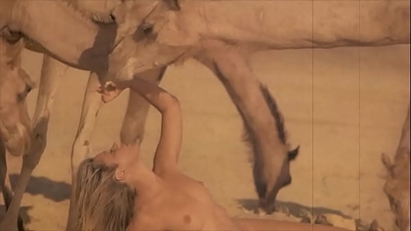 Dark Lantern Entertainment presents '_Beauty And The Beast'_